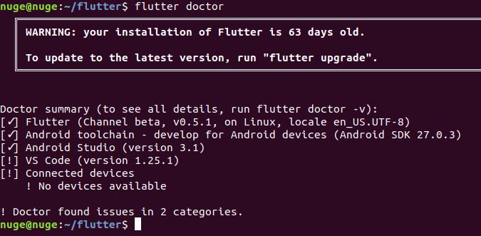 menjalankan flutter doctor