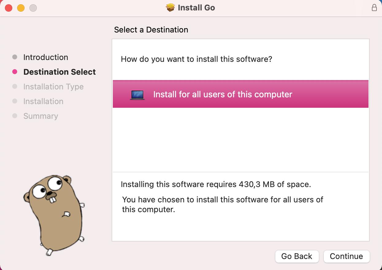 Install Golang - Destination