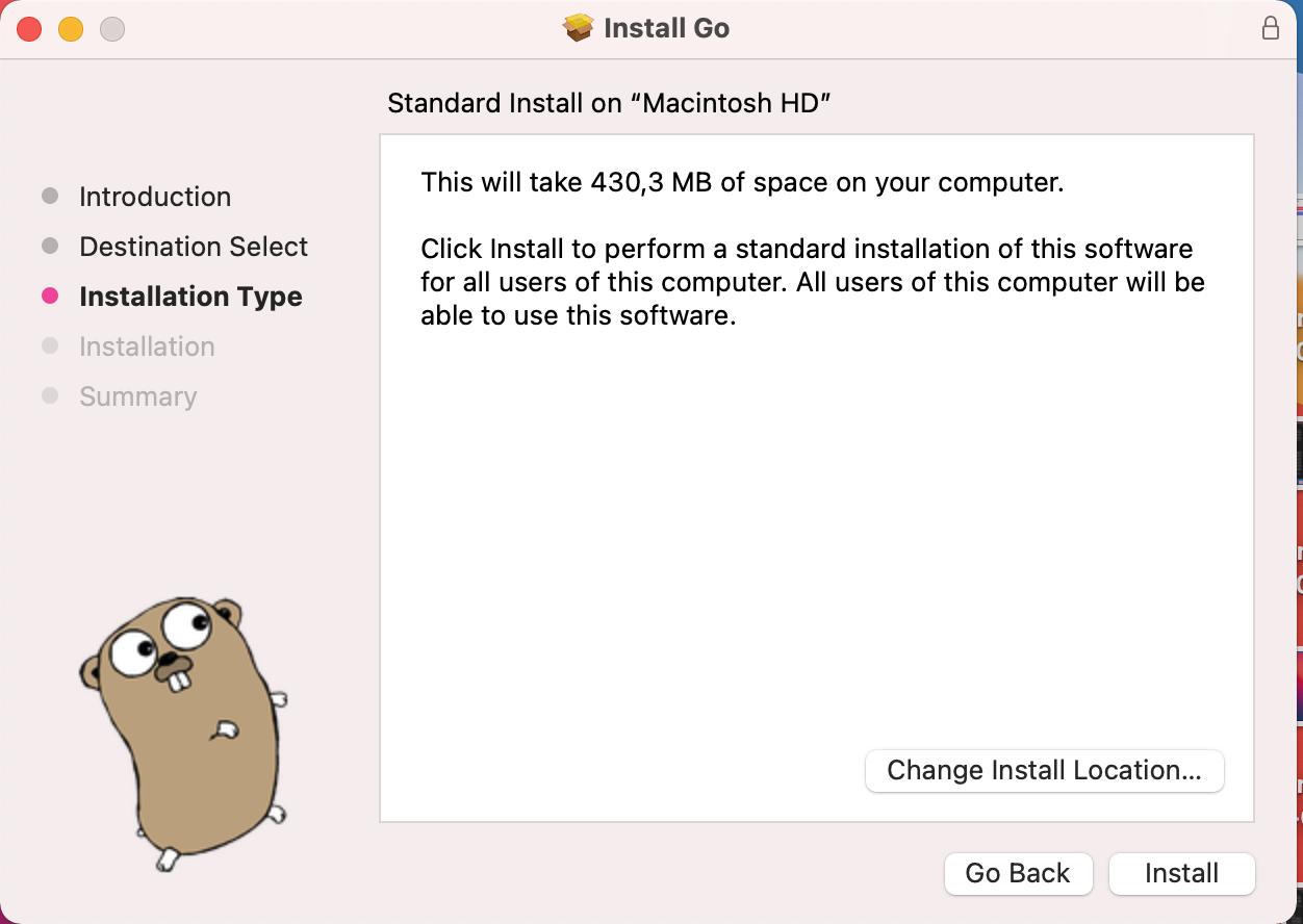 Install Golang - Installation Type