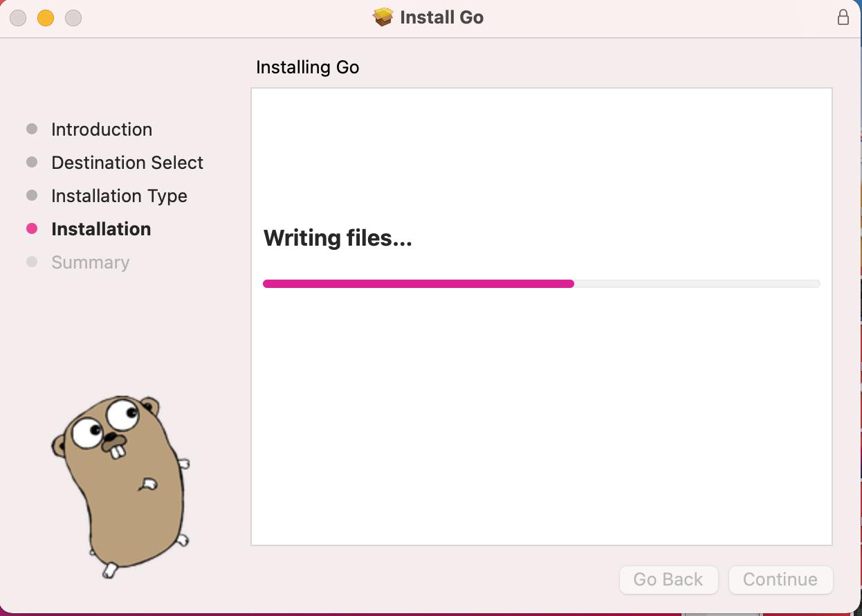 Install Golang - Installation