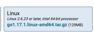 Download Go - Linux