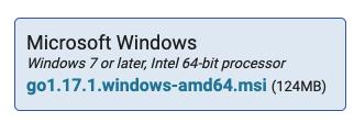 Download Go - Windows